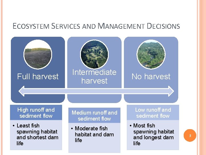 ECOSYSTEM SERVICES AND MANAGEMENT DECISIONS Full harvest High runoff and sediment flow • Least