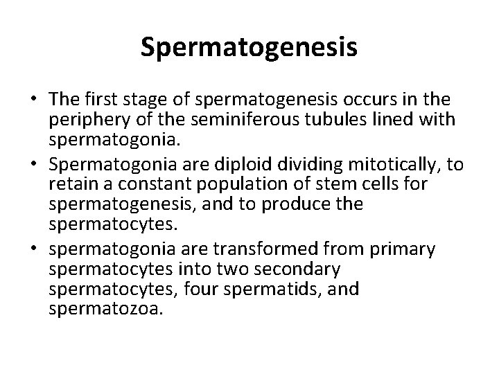 Spermatogenesis • The first stage of spermatogenesis occurs in the periphery of the seminiferous