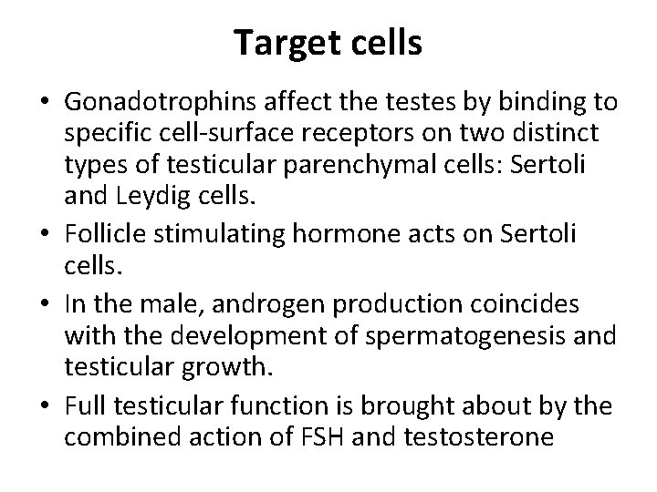 Target cells • Gonadotrophins affect the testes by binding to specific cell-surface receptors on
