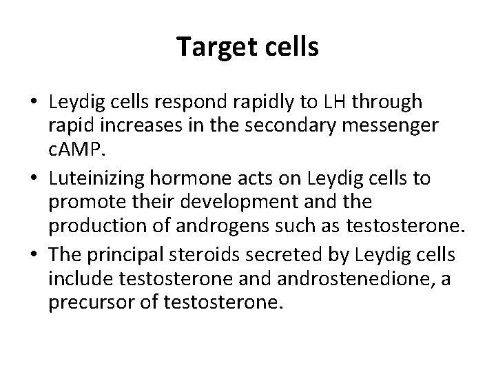 Target cells • Leydig cells respond rapidly to LH through rapid increases in the