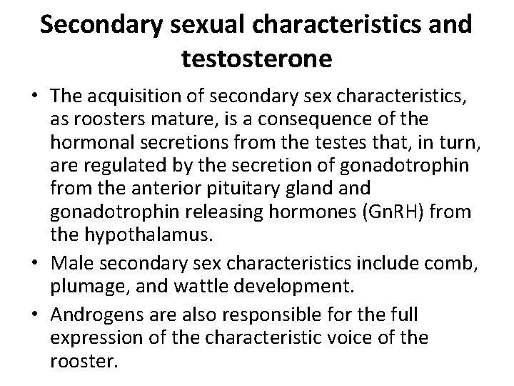 REPRODUCTION IN THE MALE ANATOMY And HORMONES Bambang reproduction-in-the-male-anatomy-and-hormones-bambang