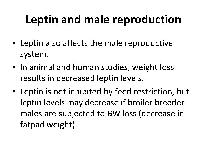 Leptin and male reproduction • Leptin also affects the male reproductive system. • In