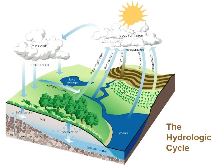 The Hydrologic Cycle 