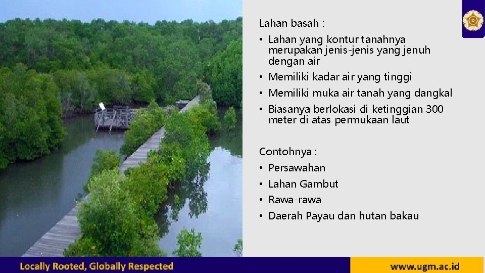 Lahan basah : • Lahan yang kontur tanahnya merupakan jenis-jenis yang jenuh dengan air