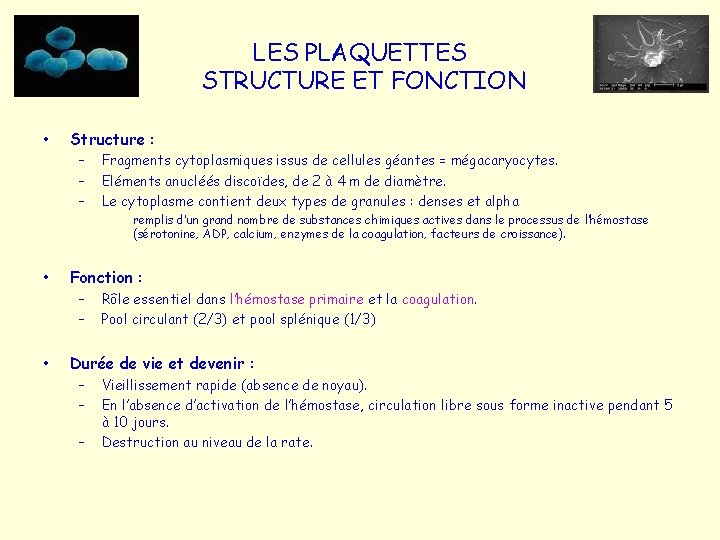 LES PLAQUETTES STRUCTURE ET FONCTION • Structure : – – – Fragments cytoplasmiques issus