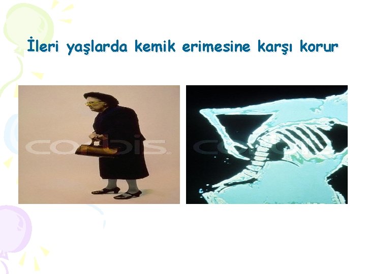 İleri yaşlarda kemik erimesine karşı korur 