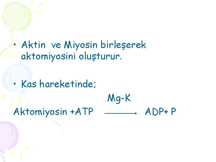  • Aktin ve Miyosin birleşerek aktomiyosini oluşturur. • Kas hareketinde; Mg-K Aktomiyosin +ATP