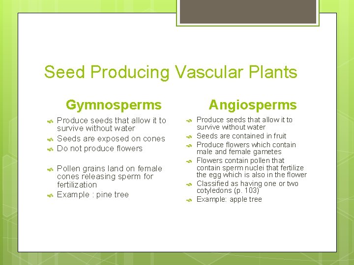Seed Producing Vascular Plants Gymnosperms Produce seeds that allow it to survive without water