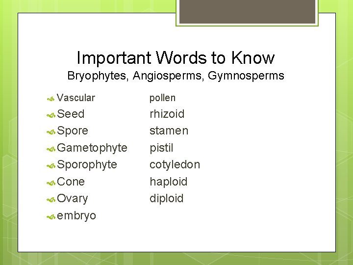 Important Words to Know Bryophytes, Angiosperms, Gymnosperms Vascular Seed Spore Gametophyte Sporophyte Cone Ovary