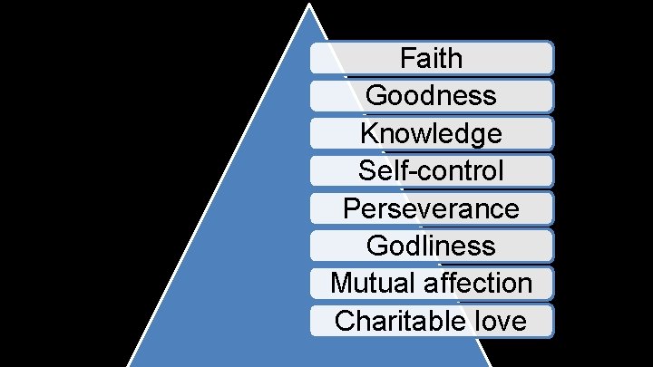 Faith Goodness Knowledge Self-control Perseverance Godliness Mutual affection Charitable love 