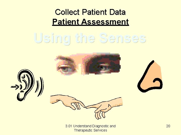 Collect Patient Data Patient Assessment Using the Senses 3. 01 Understand Diagnostic and Therapeutic