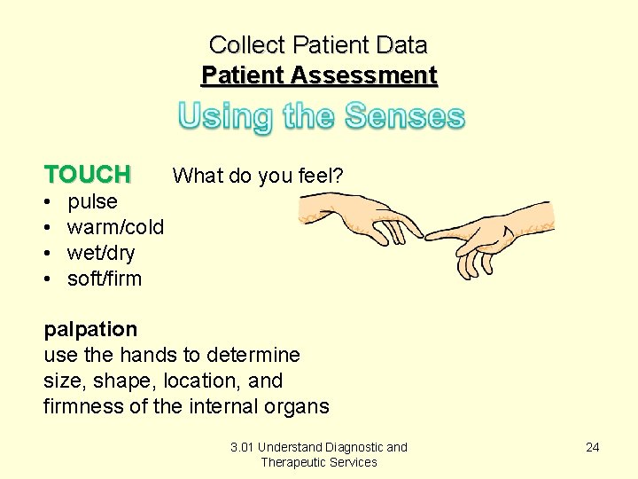 Collect Patient Data Patient Assessment TOUCH • • What do you feel? pulse warm/cold