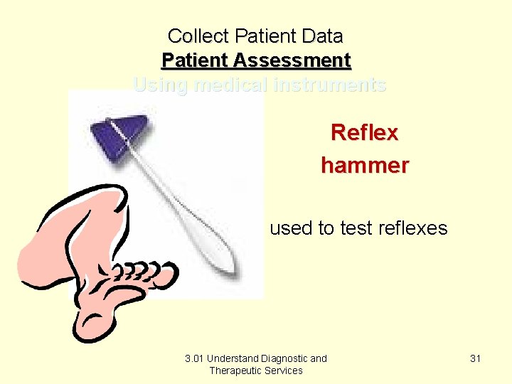 Collect Patient Data Patient Assessment Using medical instruments Reflex hammer used to test reflexes