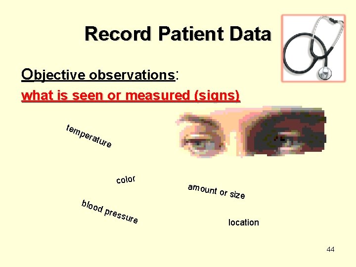 Record Patient Data Objective observations: what is seen or measured (signs) tem per atu