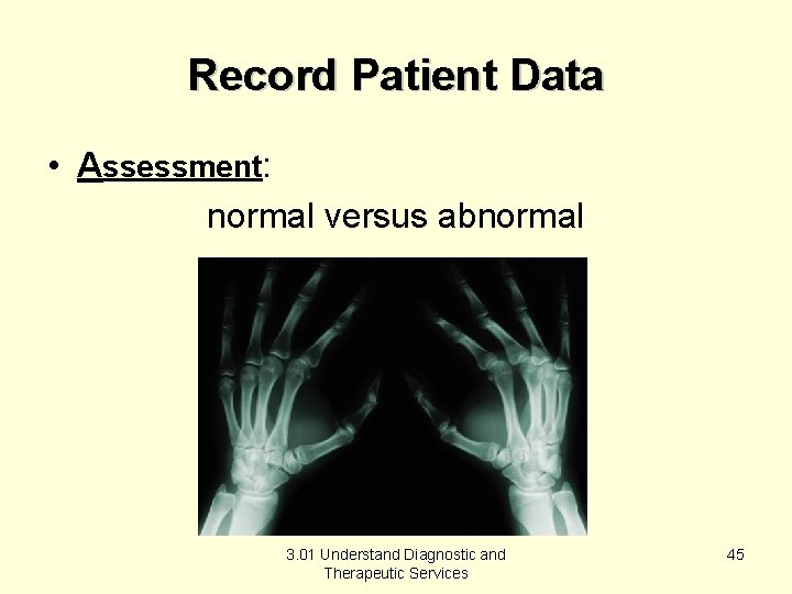 Record Patient Data • Assessment: normal versus abnormal 3. 01 Understand Diagnostic and Therapeutic