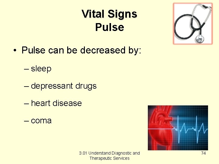 Vital Signs Pulse • Pulse can be decreased by: – sleep – depressant drugs