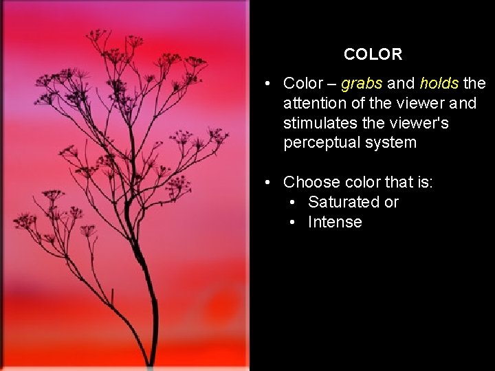 COLOR • Color – grabs and holds the attention of the viewer and stimulates