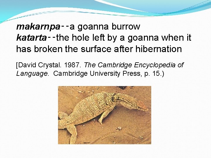 makarnpa‑‑a goanna burrow katarta‑‑the hole left by a goanna when it has broken the