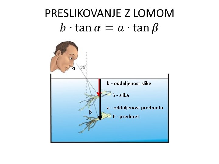 α= b - oddaljenost slike S - slika β a - oddaljenost predmeta P