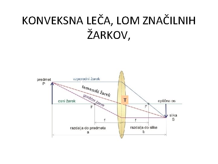 KONVEKSNA LEČA, LOM ZNAČILNIH ŽARKOV, teme nski žare k T 