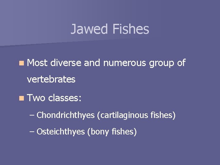 Jawed Fishes n Most diverse and numerous group of vertebrates n Two classes: –