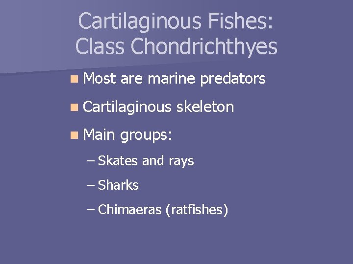 Cartilaginous Fishes: Class Chondrichthyes n Most are marine predators n Cartilaginous n Main skeleton