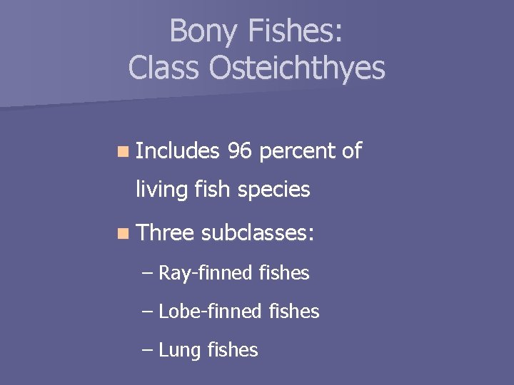 Bony Fishes: Class Osteichthyes n Includes 96 percent of living fish species n Three