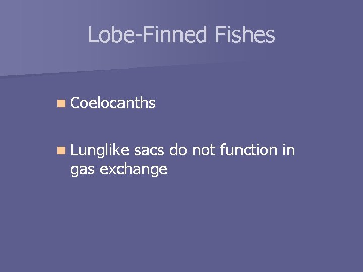 Lobe-Finned Fishes n Coelocanths n Lunglike sacs do not function in gas exchange 