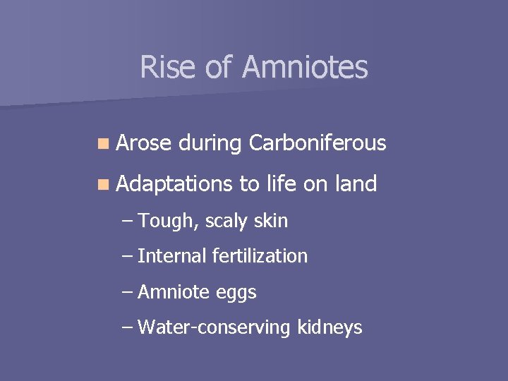 Rise of Amniotes n Arose during Carboniferous n Adaptations to life on land –