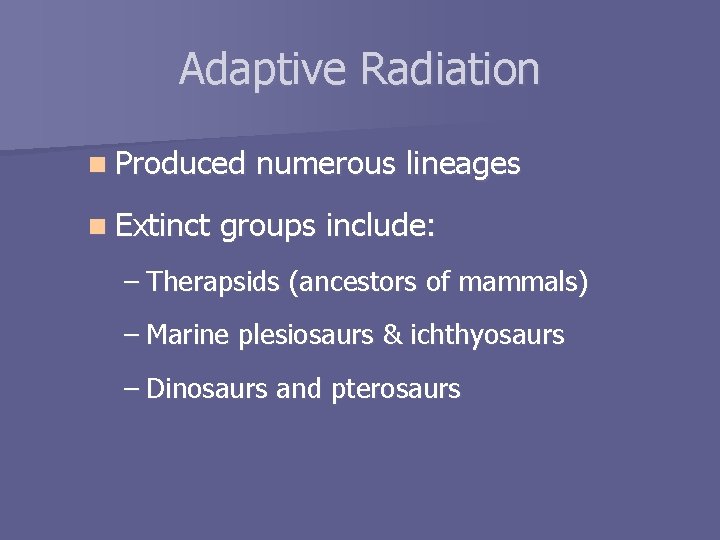 Adaptive Radiation n Produced n Extinct numerous lineages groups include: – Therapsids (ancestors of