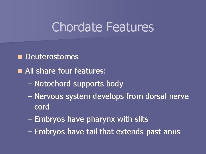 Chordate Features n Deuterostomes n All share four features: – Notochord supports body –