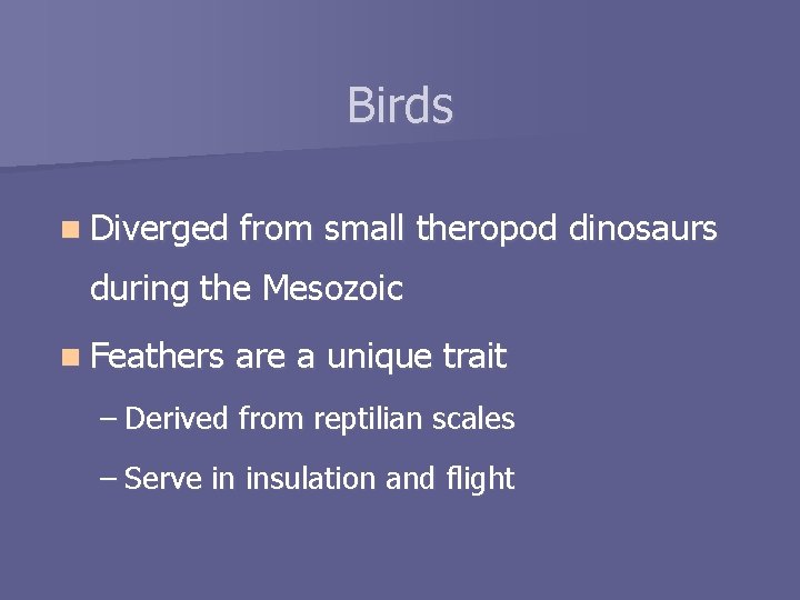 Birds n Diverged from small theropod dinosaurs during the Mesozoic n Feathers are a