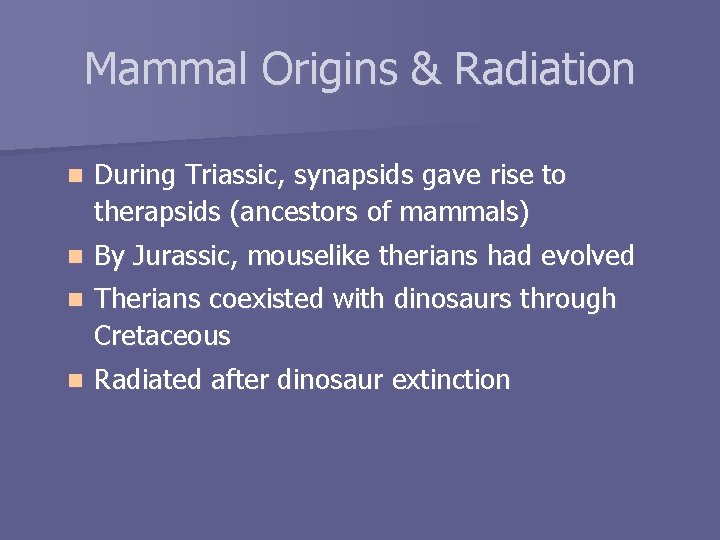Mammal Origins & Radiation n During Triassic, synapsids gave rise to therapsids (ancestors of