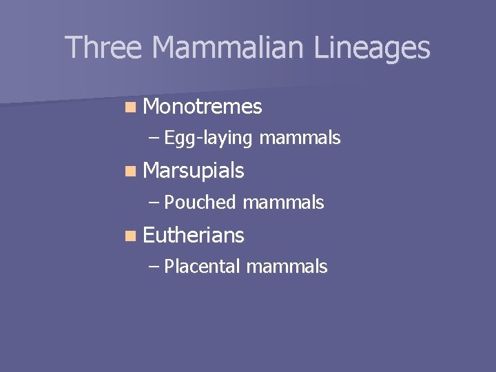 Three Mammalian Lineages n Monotremes – Egg-laying mammals n Marsupials – Pouched mammals n