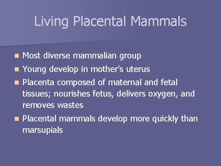 Living Placental Mammals n Most diverse mammalian group n Young develop in mother’s uterus