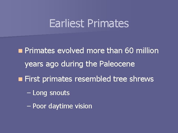 Earliest Primates n Primates evolved more than 60 million years ago during the Paleocene