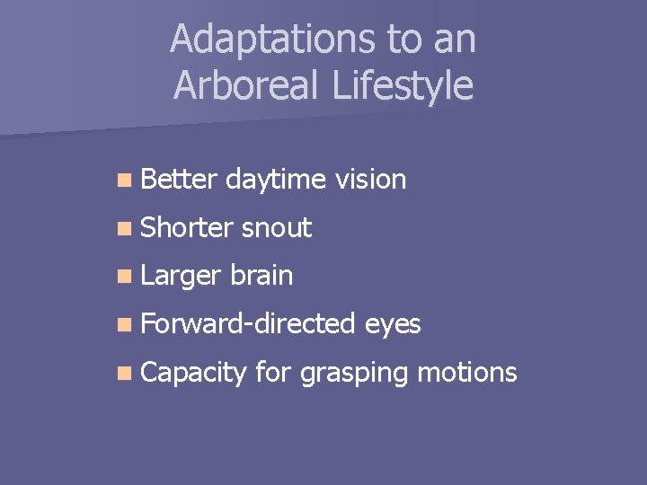 Adaptations to an Arboreal Lifestyle n Better daytime vision n Shorter n Larger snout