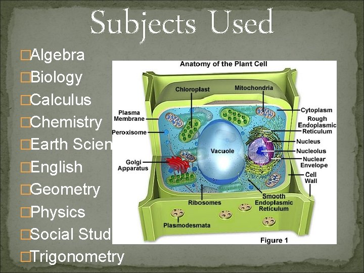 �Algebra Subjects Used �Biology �Calculus �Chemistry �Earth Science �English �Geometry �Physics �Social Studies �Trigonometry