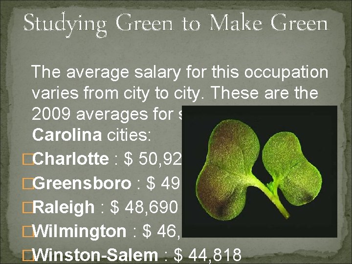 Studying Green to Make Green The average salary for this occupation varies from city