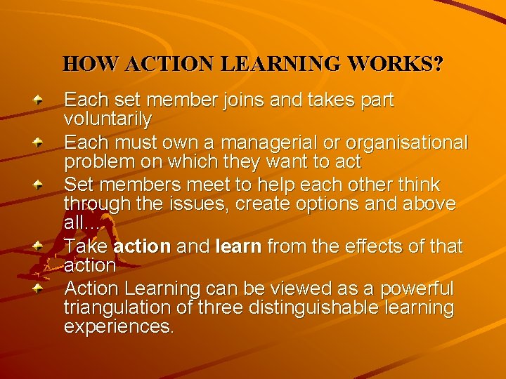 HOW ACTION LEARNING WORKS? Each set member joins and takes part voluntarily Each must