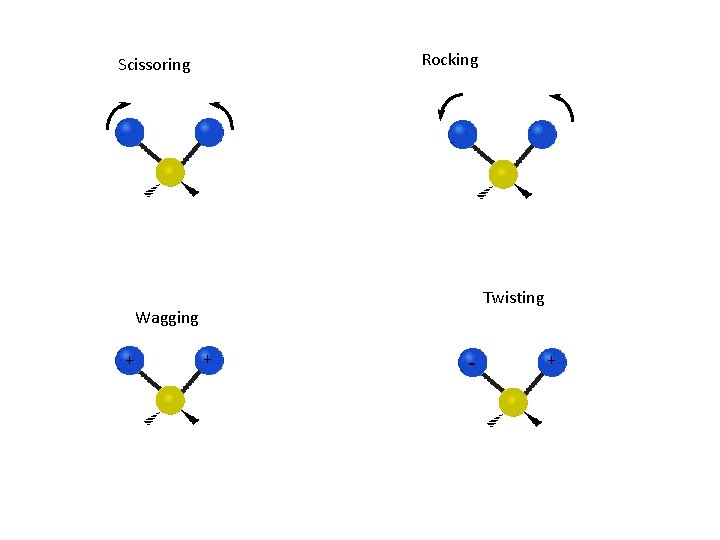 Rocking Scissoring Twisting Wagging + + - + 