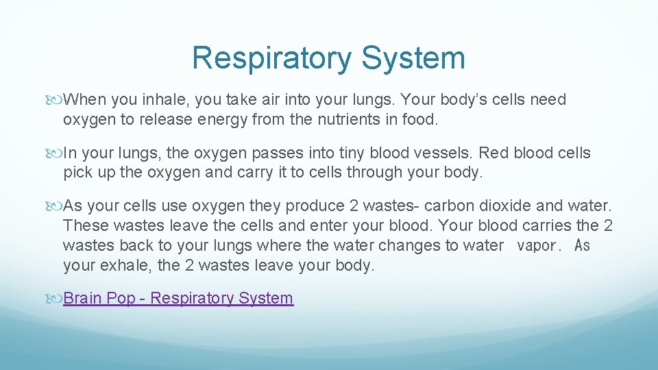 Respiratory System When you inhale, you take air into your lungs. Your body’s cells