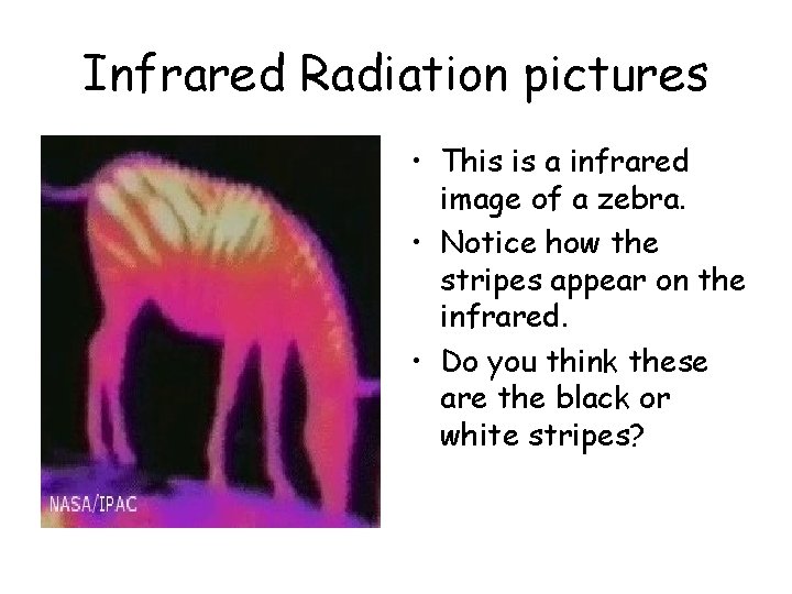 Infrared Radiation pictures • This is a infrared image of a zebra. • Notice