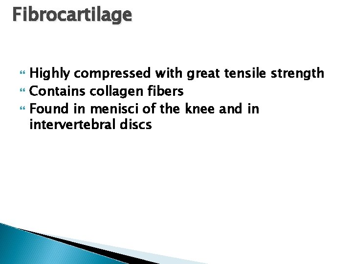 Fibrocartilage Highly compressed with great tensile strength Contains collagen fibers Found in menisci of