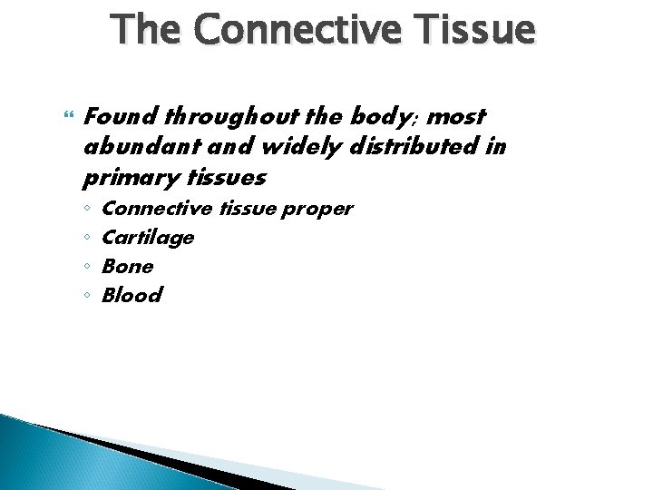 The Connective Tissue Found throughout the body; most abundant and widely distributed in primary
