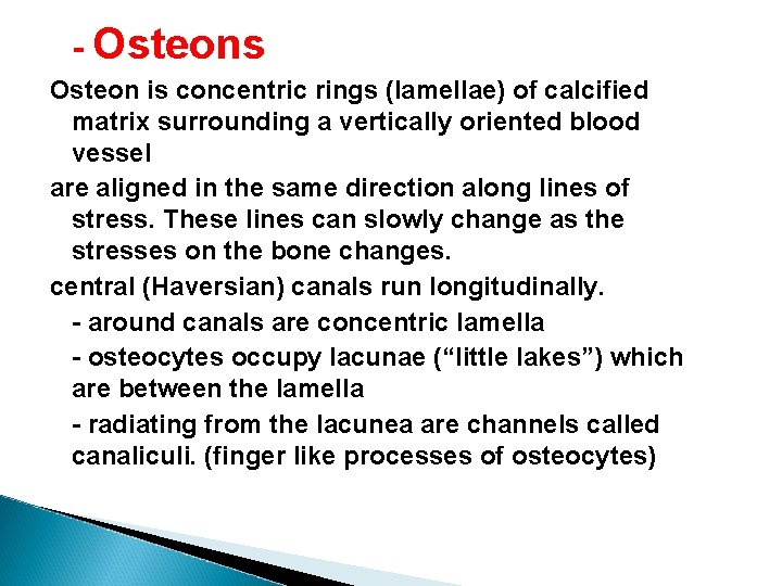 - Osteons Osteon is concentric rings (lamellae) of calcified matrix surrounding a vertically oriented