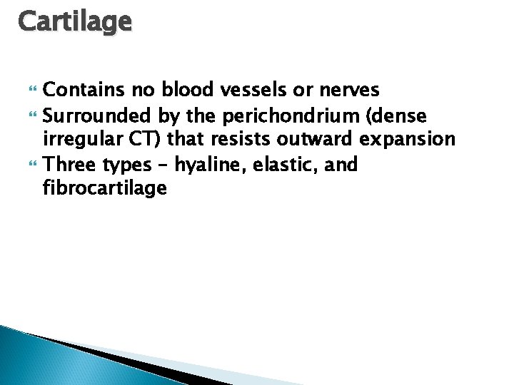 Cartilage Contains no blood vessels or nerves Surrounded by the perichondrium (dense irregular CT)