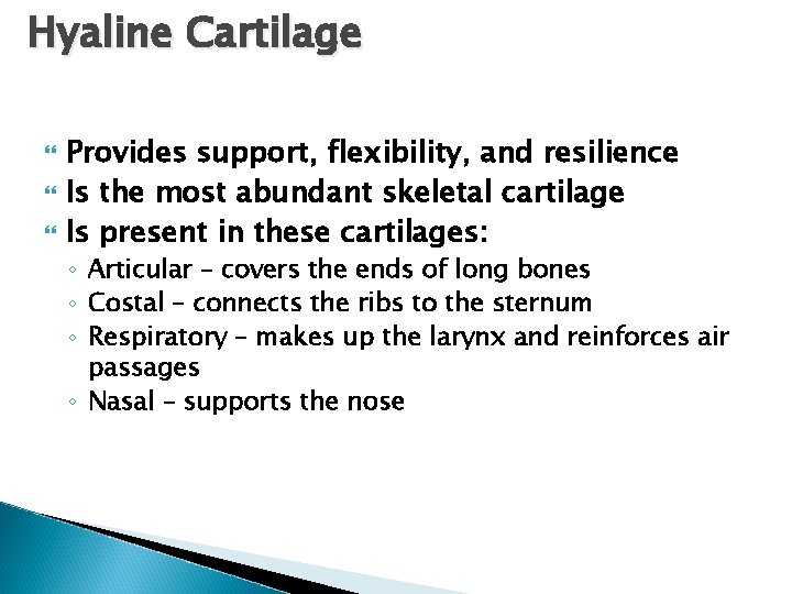 Hyaline Cartilage Provides support, flexibility, and resilience Is the most abundant skeletal cartilage Is