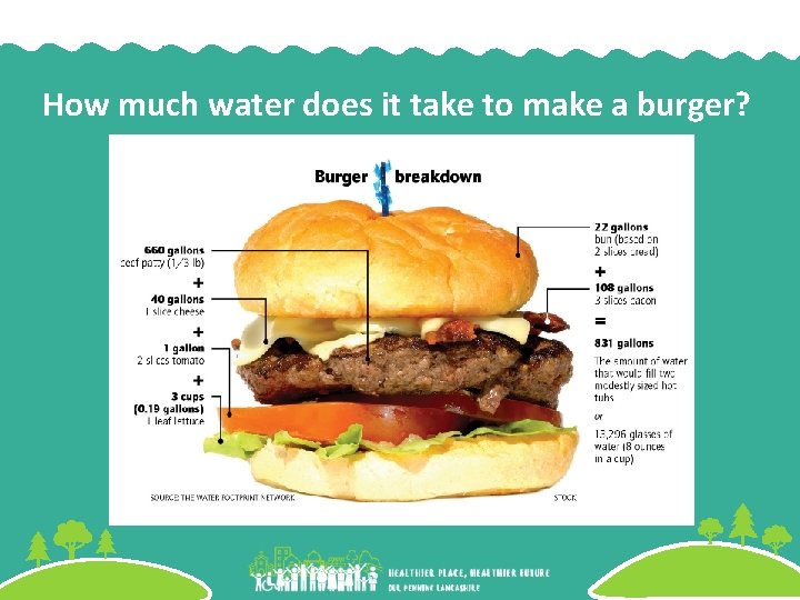 How much water does it take to make a burger? 