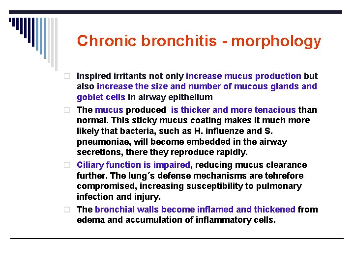 Chronic bronchitis - morphology o Inspired irritants not only increase mucus production but also